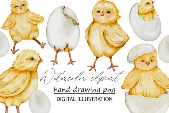 Elevating Design Projects with High-Resolution Chicken Watercolor Clipart PNG Assets